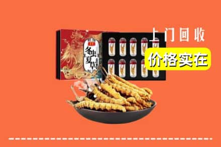 正定县回收冬虫夏草